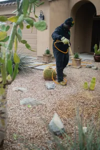 greenleaf technician applying weed control